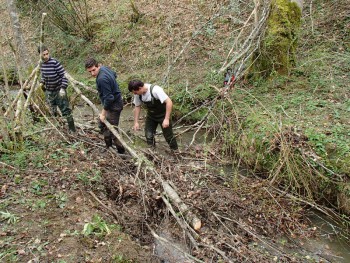 Les lycéens en action