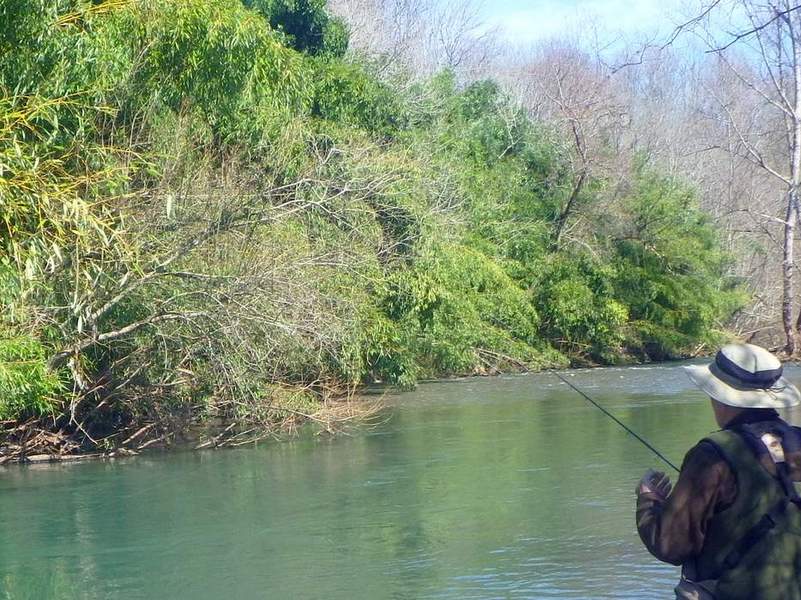 pêche aux appâts sur le Vert