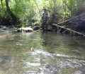 Pêche au toc
