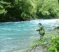 Laurent en stage de pêche aux appâts naturels en dérive
