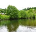 la Nive de Baïgorry