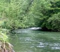 le lourdios rivière du haut béarn dans les Pyrénées-Atlantiques
