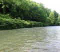 le Vert rivière du haut béarn dans les Pyrénées-Atlantiques
