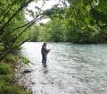 Stéphane en action lors de son stage de pêche aux appâts naturels en dérive