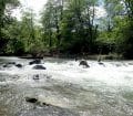 rivière des pyrénées