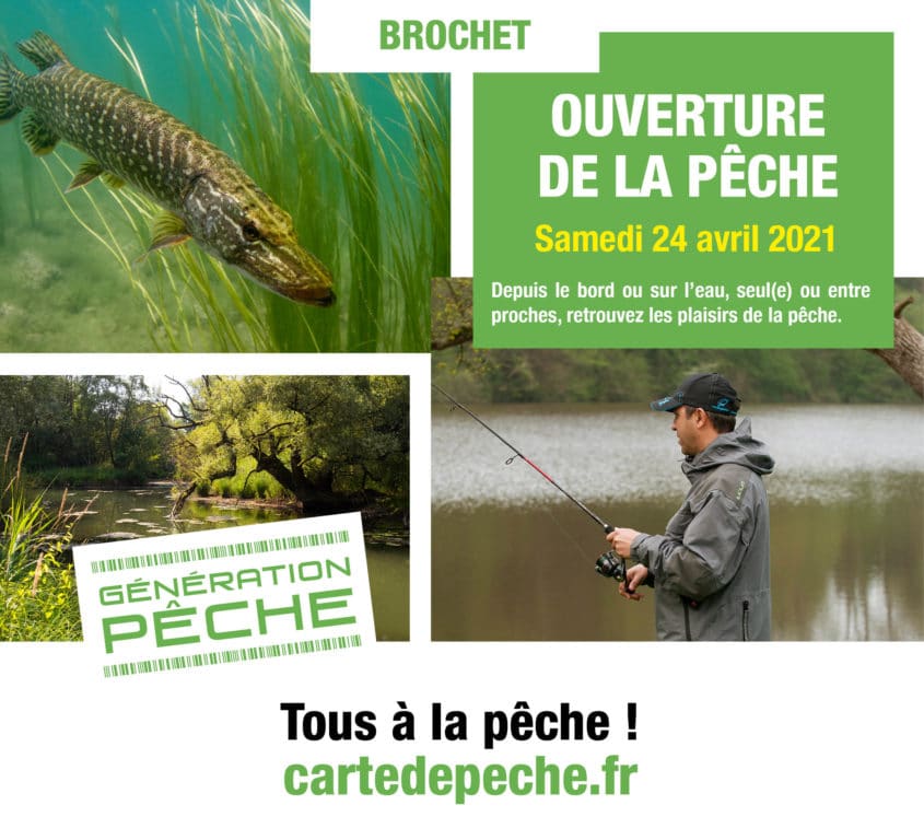 PECHE AUX CARNASSIERS