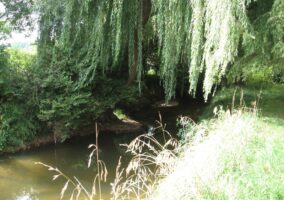 © FEDERATION DE PECHE, © FEDERATION DE PECHE, © FEDERATION DE PECHE