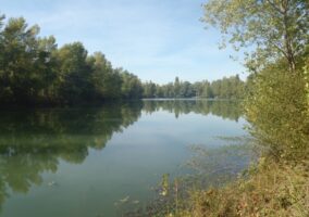 © FEDERATION DE PECHE, © FEDERATION DE PECHE, © FEDERATION DE PECHE