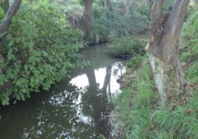 © FEDERATION DE PECHE, © FEDERATION DE PECHE, © FEDERATION DE PECHE