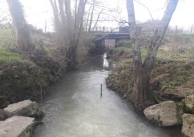 AAPPMA DE LA NIVE