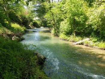 Le Neez à Jurançon hors influence des seuils